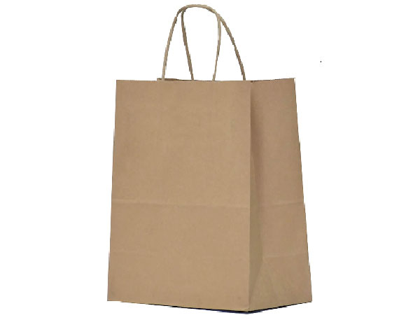 KRAFT PEPR BAG 16x22x8 ASST COLOR