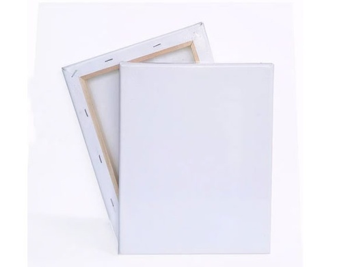 لوحة كانفس مقاس 25 × 35 سم OS-483